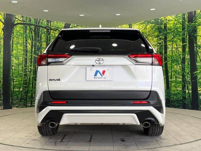 Toyota RAV4 2021-06 10466-15