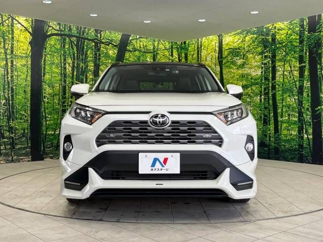 Toyota RAV4 2021-06 10466-14