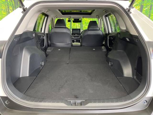 Toyota RAV4 2021-06 10466-10
