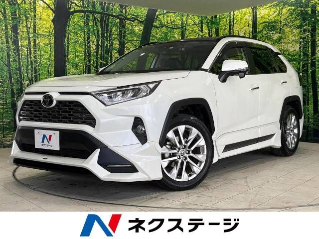 Toyota RAV4 2021-06 10466-0