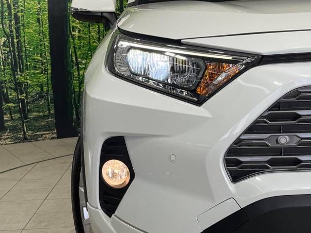 Toyota RAV4 2021-06 10466-12