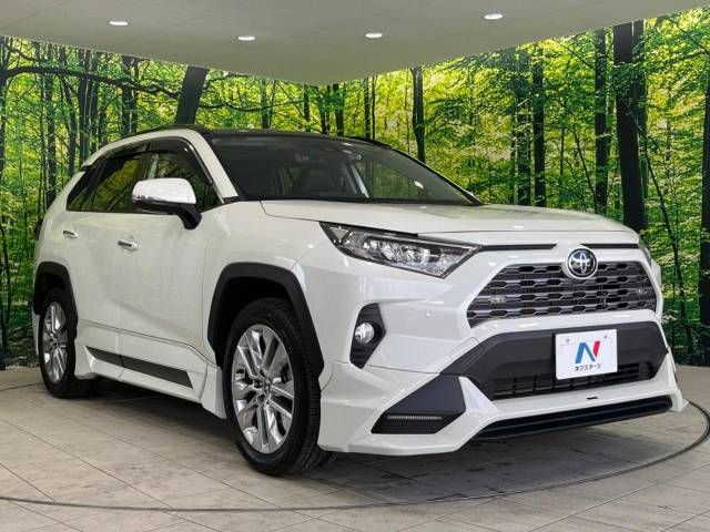 Toyota RAV4 2021-06 10466-16