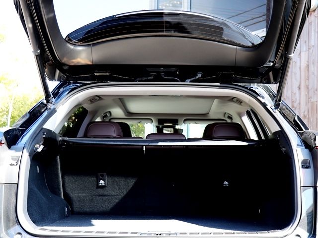Lexus RX 2020-07 579-28