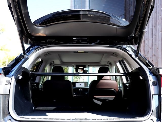 Lexus RX 2020-07 579-29