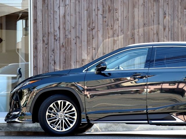 Lexus RX 2020-07 579-8