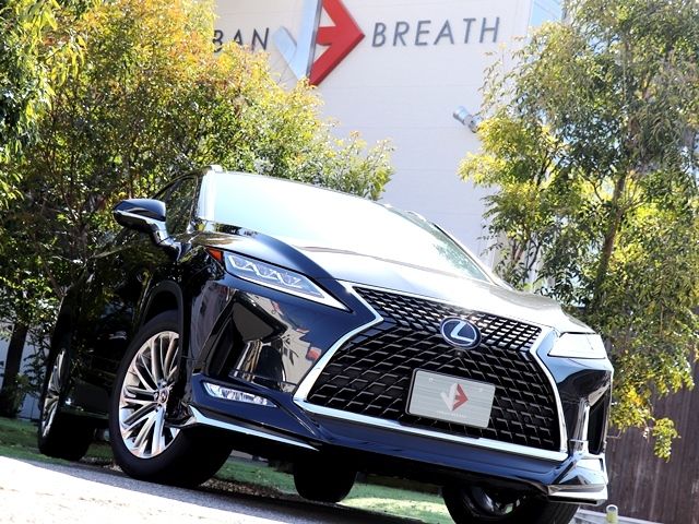 Lexus RX 2020-07 579-3