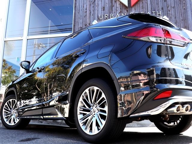 Lexus RX 2020-07 579-9