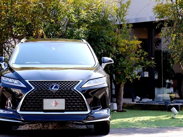 Lexus RX 2020-07 579-4