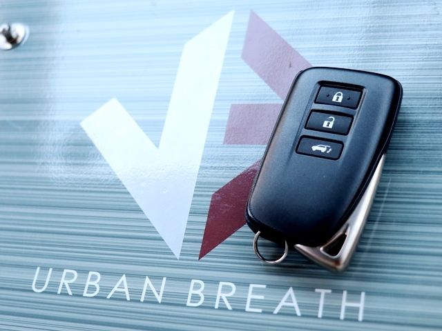 Lexus RX 2020-07 579-23