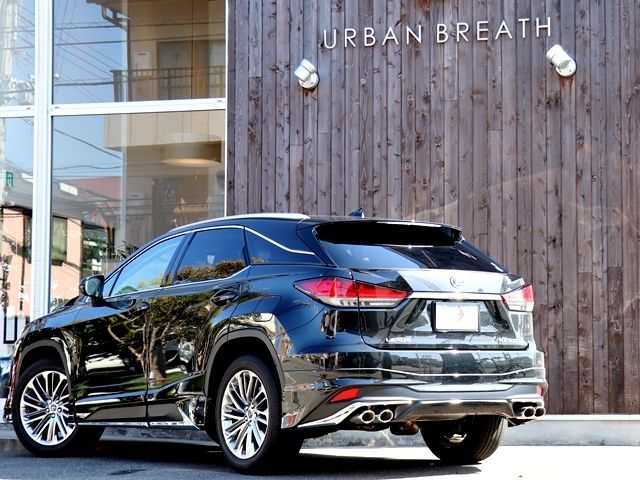 Lexus RX 2020-07 579-10