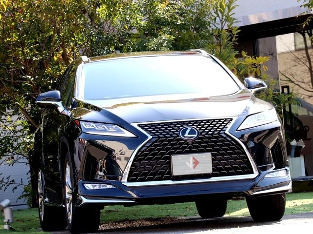 Lexus RX 2020-07 579-5