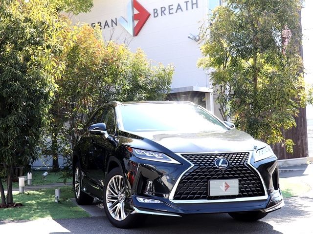 Lexus RX 2020-07 579-0