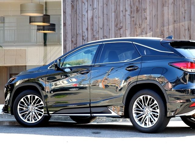 Lexus RX 2020-07 579-6