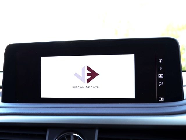 Lexus RX 2020-07 579-15