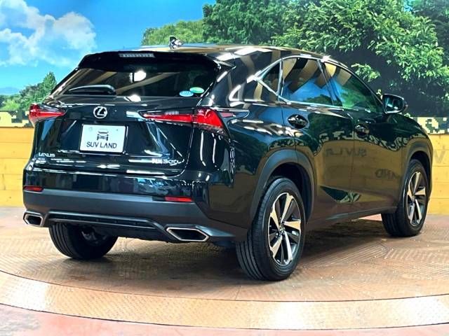 Lexus NX 2017-09 184303-17