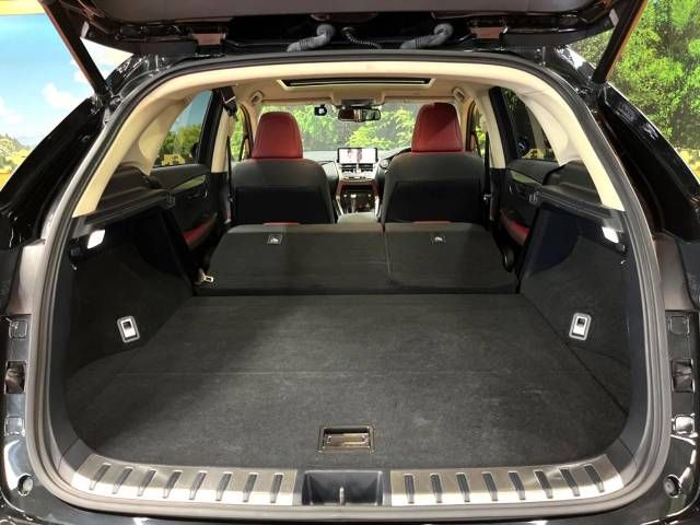 Lexus NX 2017-09 184303-10