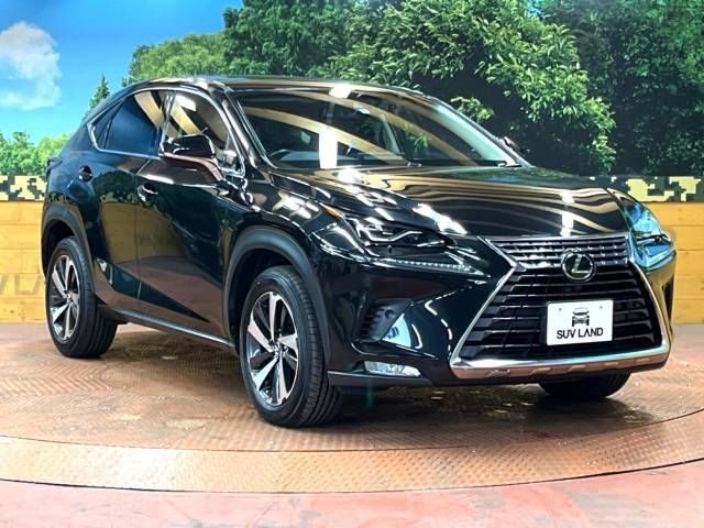 Lexus NX 2017-09 184303-16