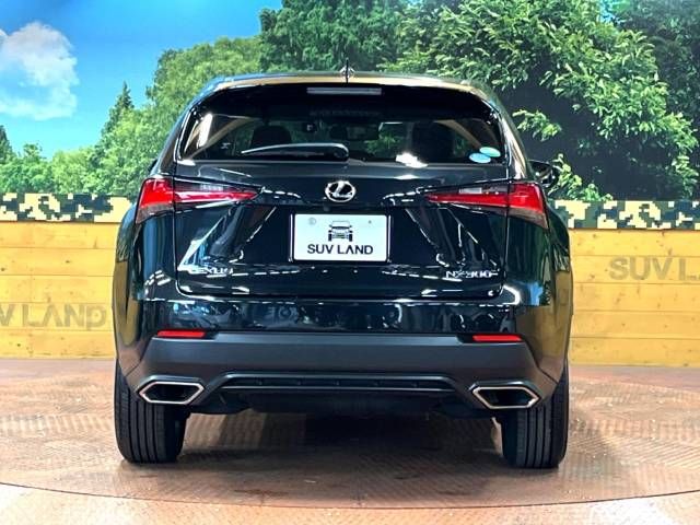 Lexus NX 2017-09 184303-15