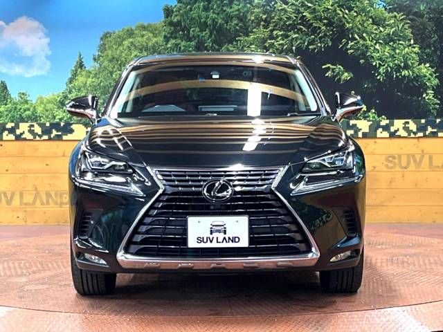 Lexus NX 2017-09 184303-14