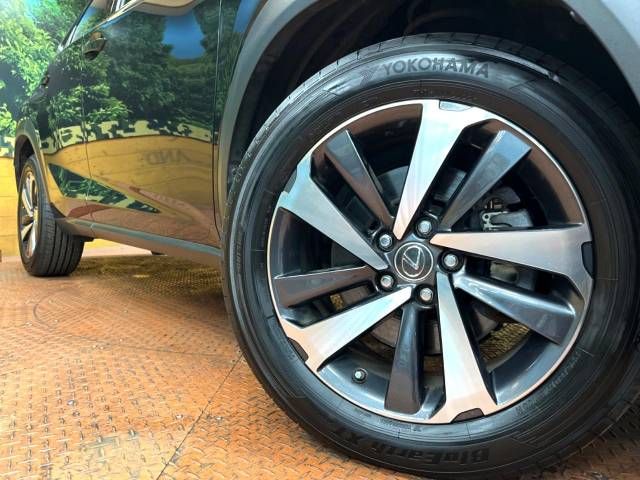 Lexus NX 2017-09 184303-13