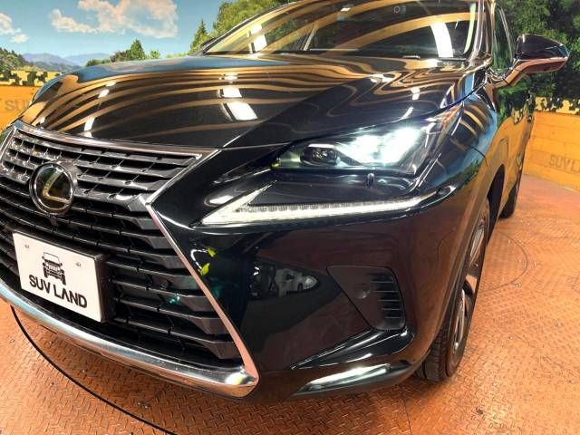 Lexus NX 2017-09 184303-12
