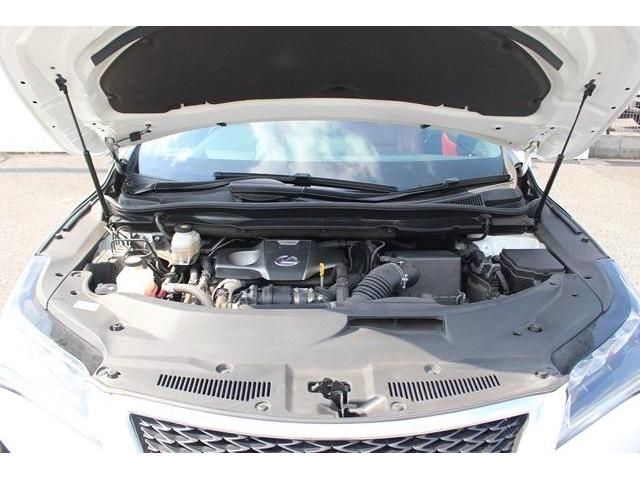 Lexus RX 2017-08 8292-18