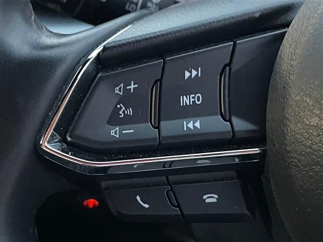 Mazda CX-8 2019-01 182374-12