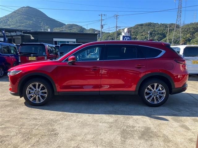 Mazda CX-8 2019-01 182374-8