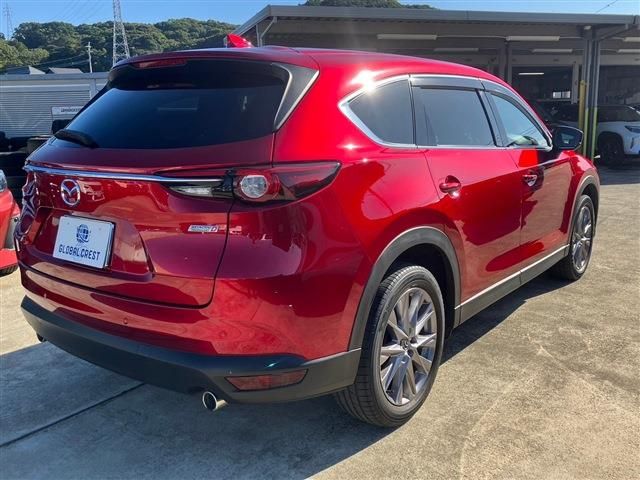 Mazda CX-8 2019-01 182374-7