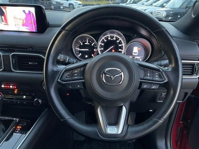 Mazda CX-8 2019-01 182374-11