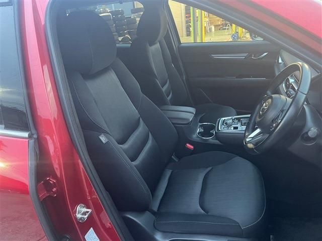 Mazda CX-8 2019-01 182374-23