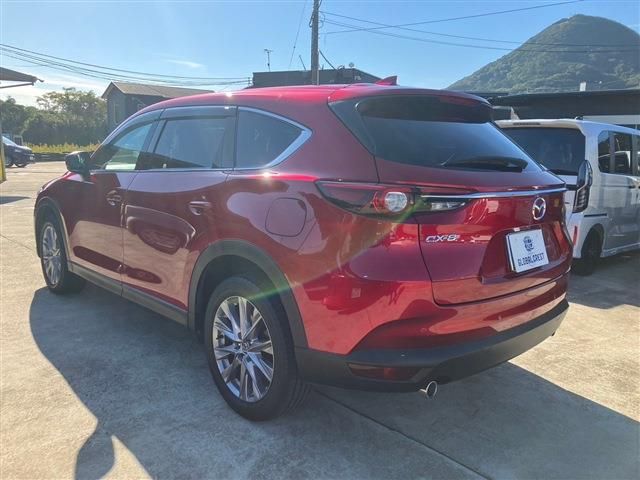 Mazda CX-8 2019-01 182374-9