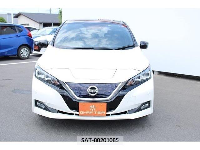 Nissan LEAF 2018-01 367080-6
