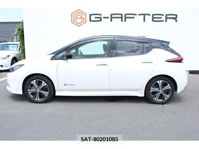 Nissan LEAF 2018-01 367080-9