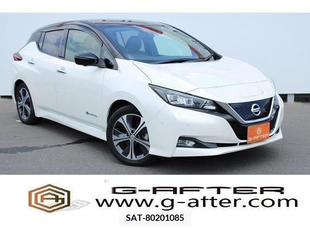 Nissan LEAF 2018-01 367080-0