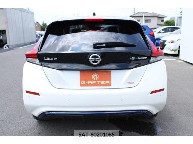 Nissan LEAF 2018-01 367080-8