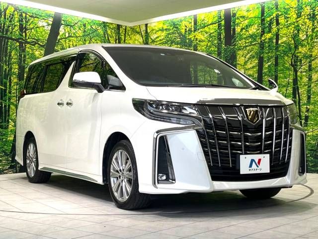 Toyota ALPHARD 2021-04 10597-18