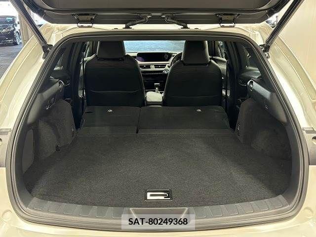 Lexus UX 2020-09 388187-12