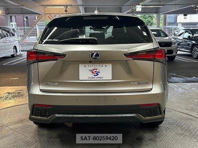 Lexus NX 2018-06 334402-18