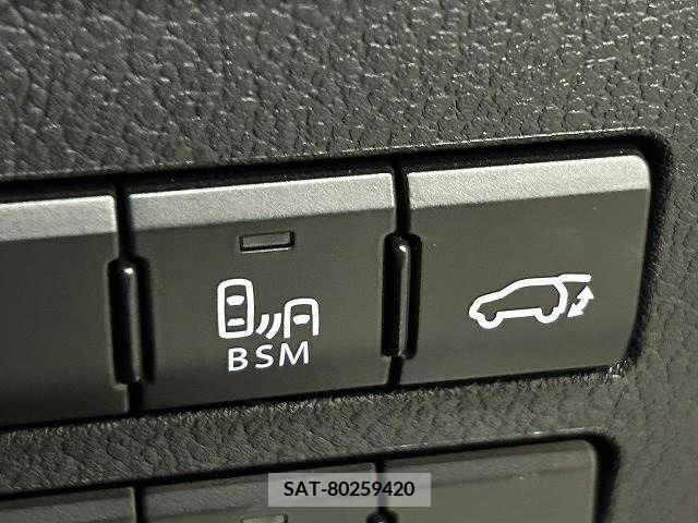 Lexus NX 2018-06 334402-12