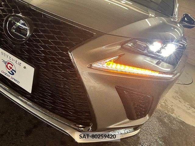 Lexus NX 2018-06 334402-9