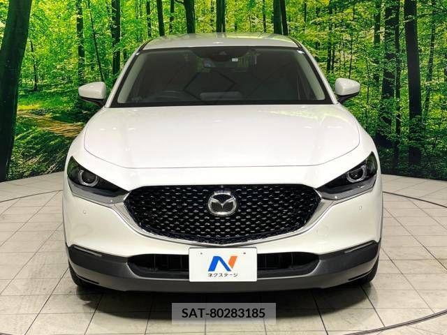 Mazda CX-30 2023-03 390189-14
