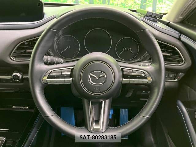 Mazda CX-30 2023-03 390189-11