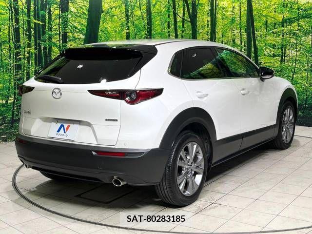 Mazda CX-30 2023-03 390189-17