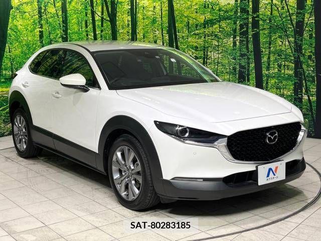 Mazda CX-30 2023-03 390189-16