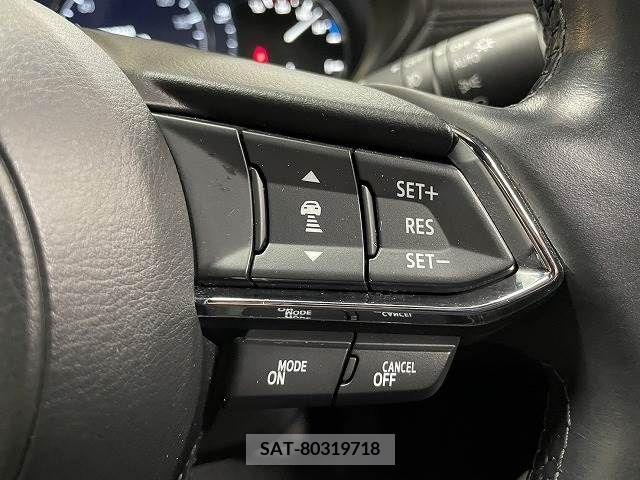 Mazda CX-8 2019-01 266168-5