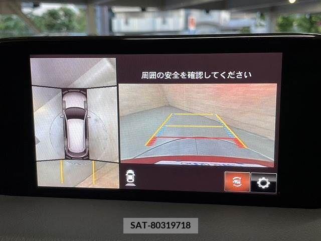 Mazda CX-8 2019-01 266168-3