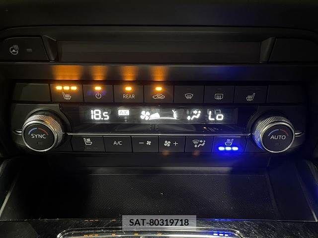Mazda CX-8 2019-01 266168-12