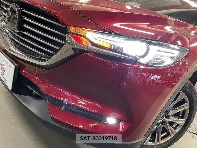 Mazda CX-8 2019-01 266168-9