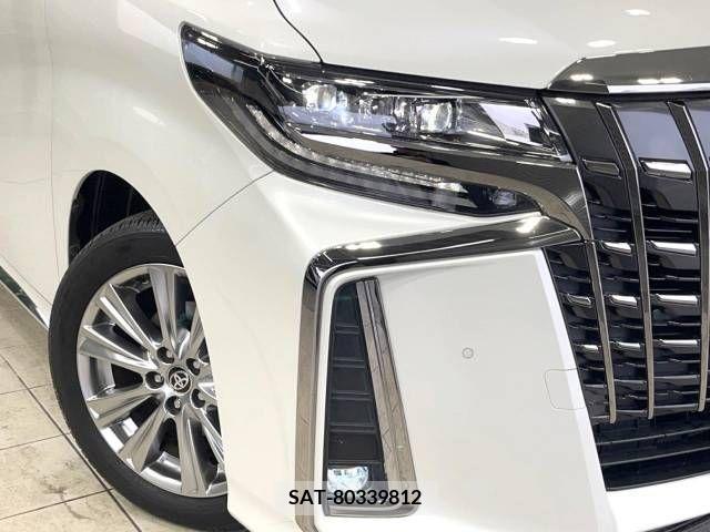 Toyota ALPHARD 2020-11 236074-13